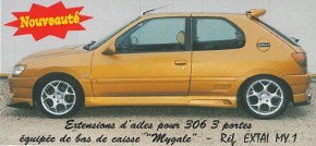 Jeu de 4 extensions d'ailes "Mygale" Esquiss'Auto pour Peugeot 306 3 portes