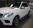 marches pieds pour Mercedes GLE et ML W166