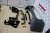 Pare choc arrière bmw X5 F15 pack M Perf